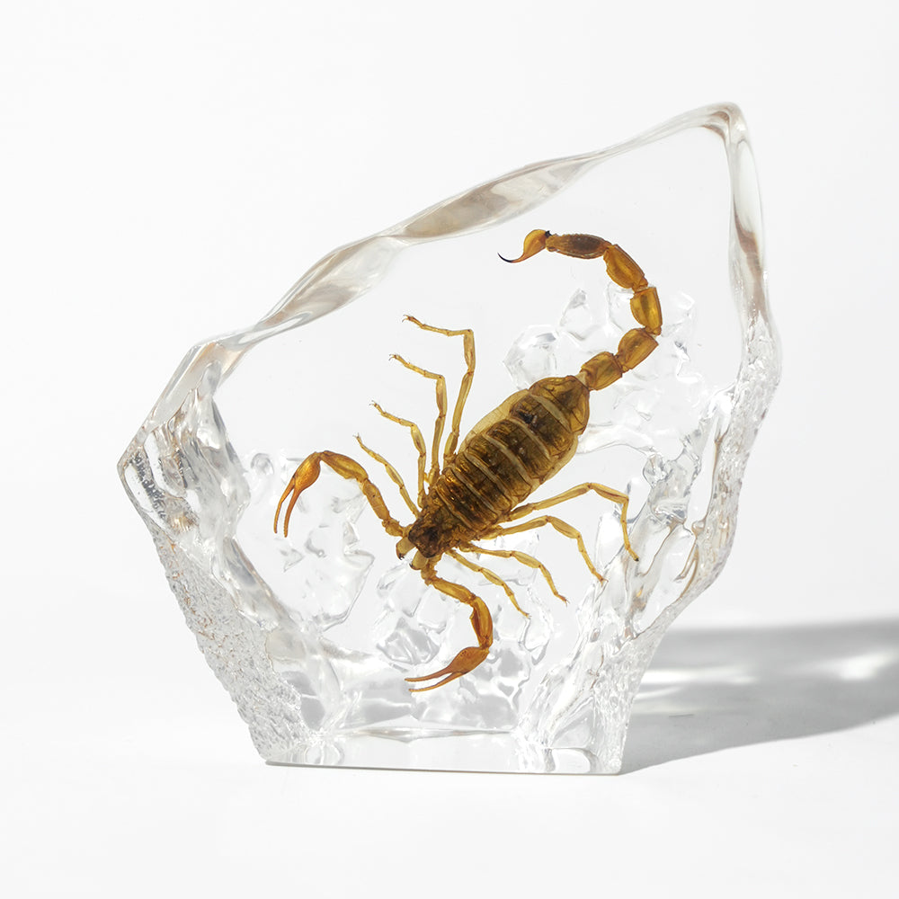 Animal/ Flower Resin Decor