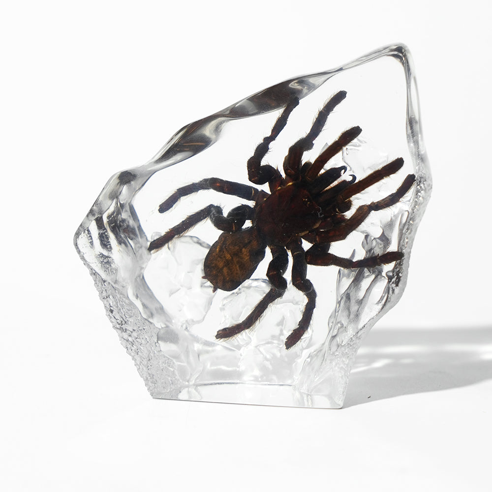 Animal/ Flower Resin Decor