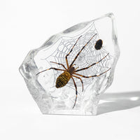 Animal/ Flower Resin Decor