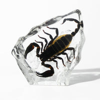 Animal/ Flower Resin Decor